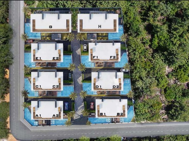 1 (1_batcheditor_fotor