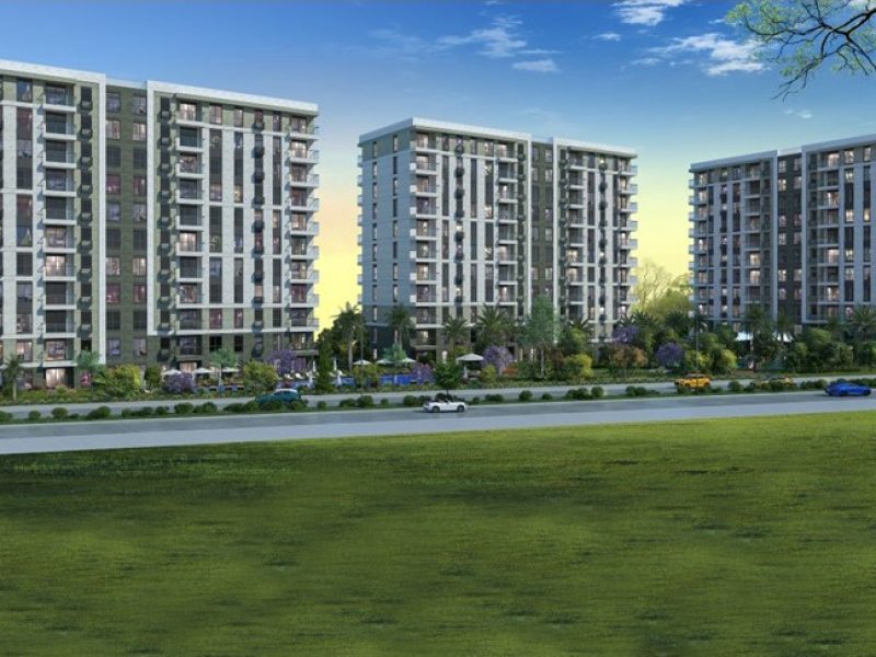 3 — крупный размер 02.45.44