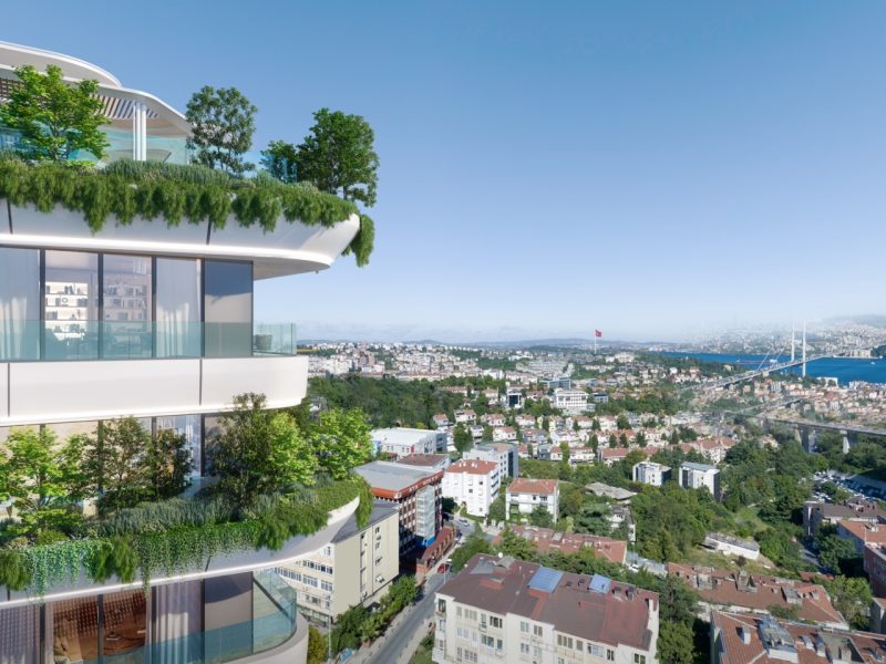 3 — крупный размер 15.56.10