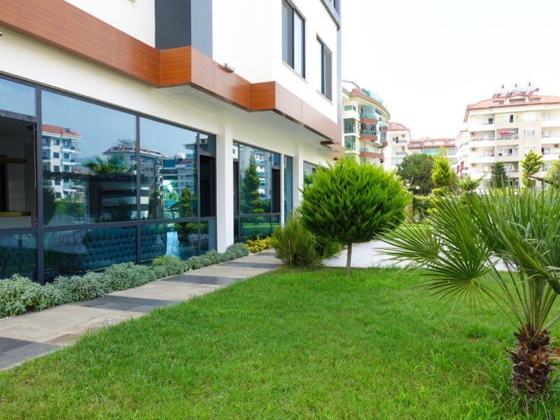 5 — крупный размер