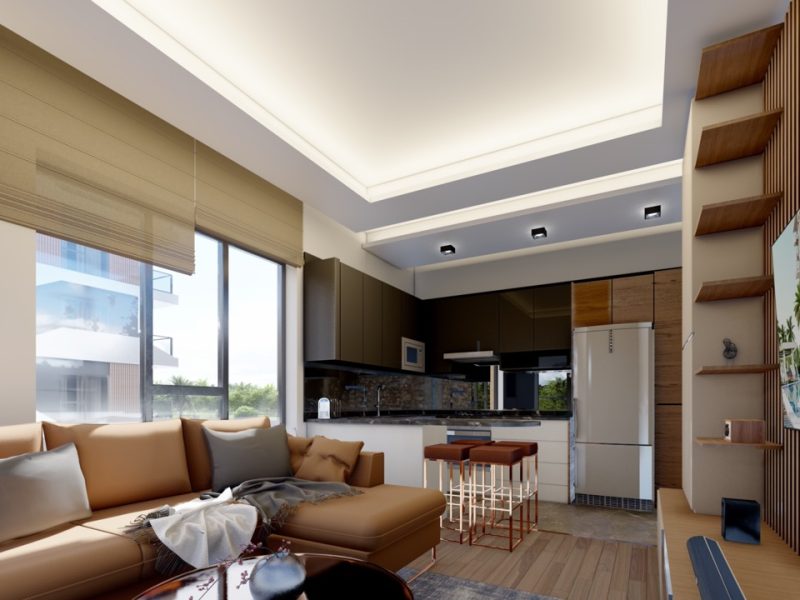 6 — крупный размер 11.34.08