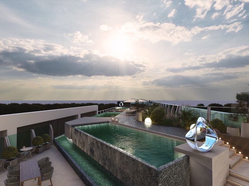 6 — крупный размер 17.39.43