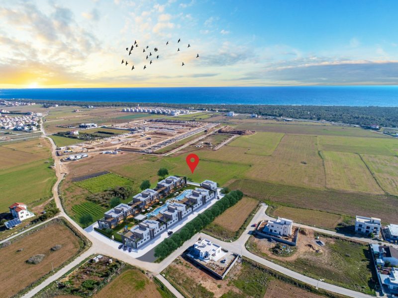 7 — крупный размер 14.00.17