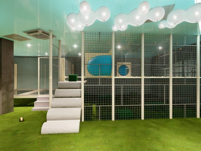 Ank 6_batcheditor_fotor