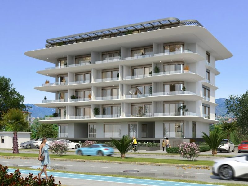 Ox 2_batcheditor_fotor